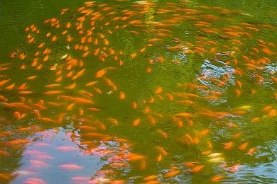 《最终幻想14》官方声明 游戏在北美地区遭受DDoS攻击